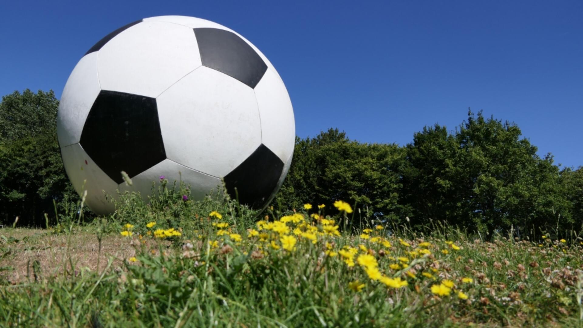 Foto van een grote voetbal in een veld