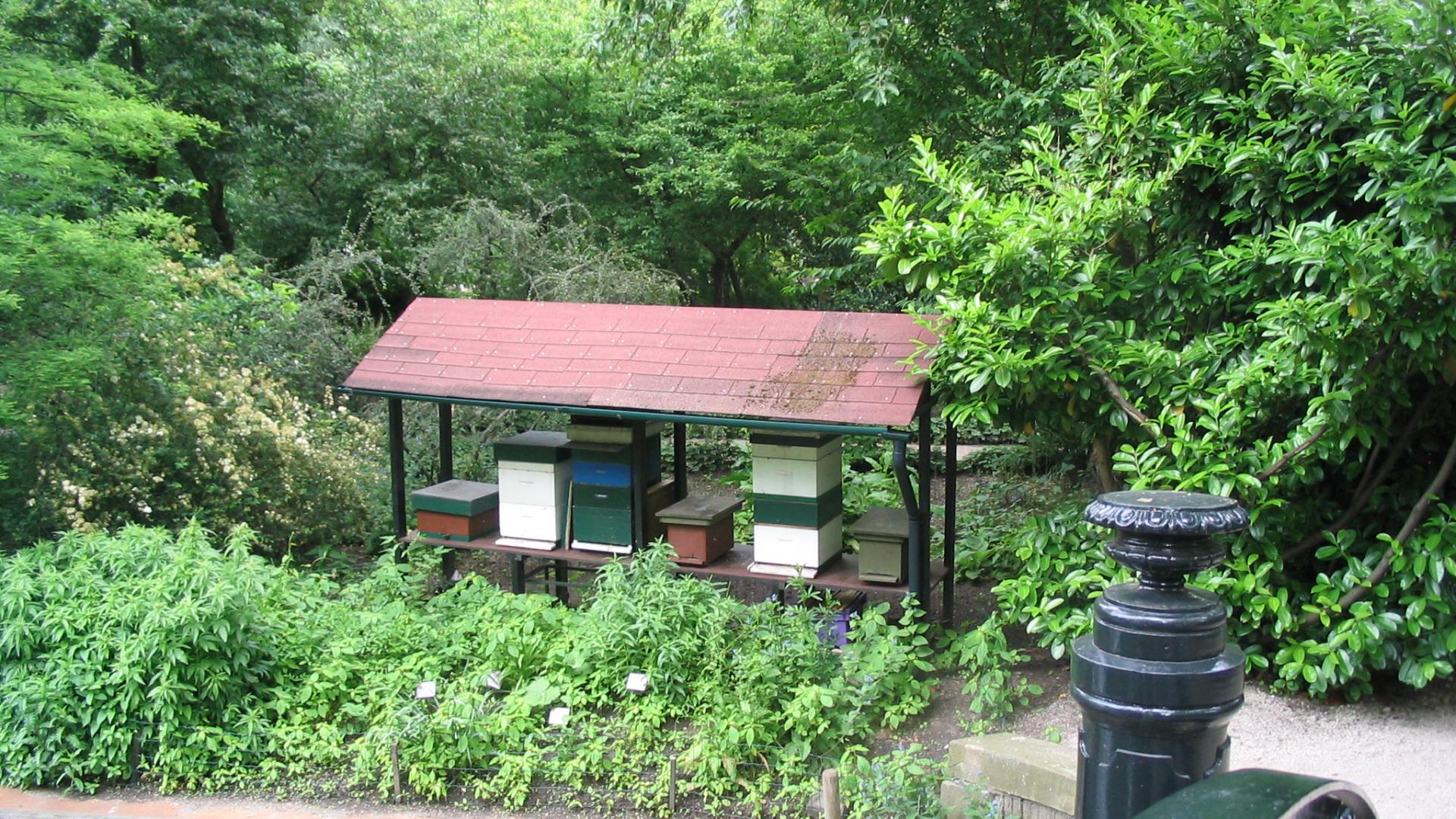 bijenkasten in de hortus.jpg